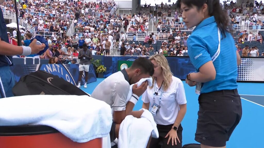 Djokovic sufre un pajarón y cae en Cincinnati siete años después